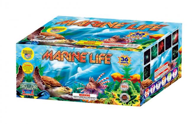 Marine Life - Click Image to Close